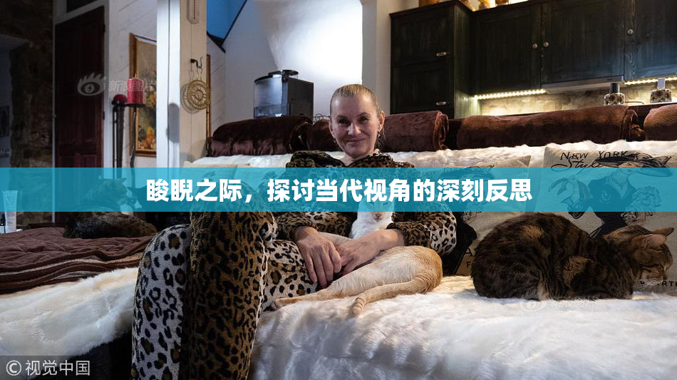 睃睨之际，探讨当代视角的深刻反思