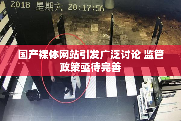 国产裸体网站引发广泛讨论 监管政策亟待完善