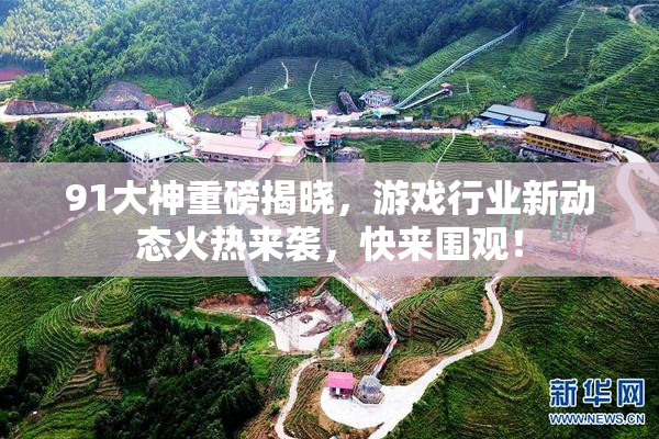91大神重磅揭晓，游戏行业新动态火热来袭，快来围观！