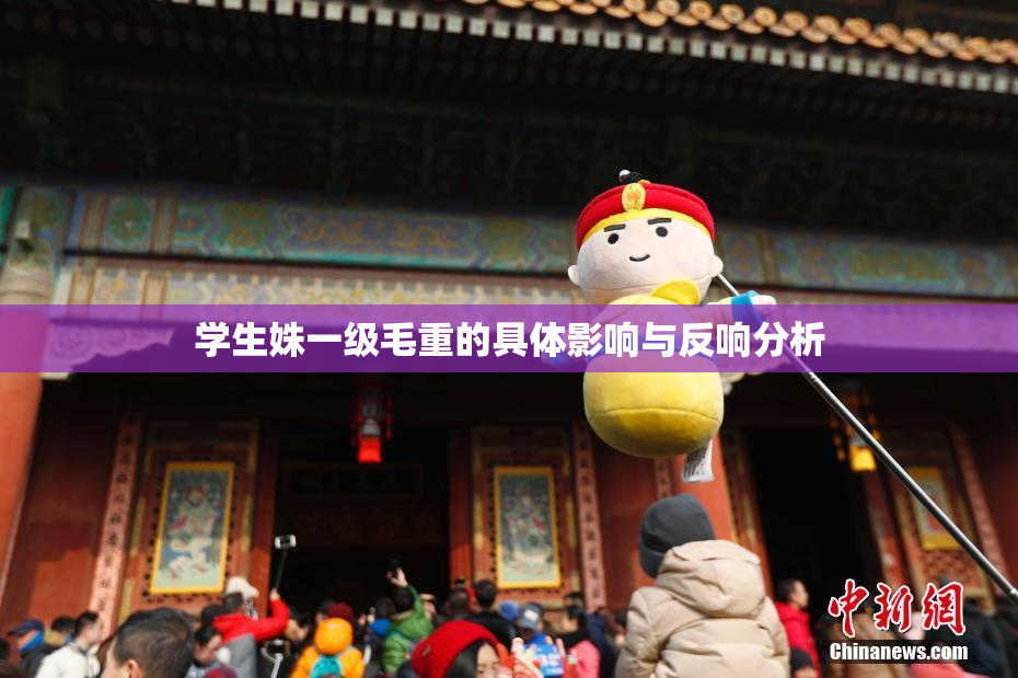 学生姝一级毛重的具体影响与反响分析