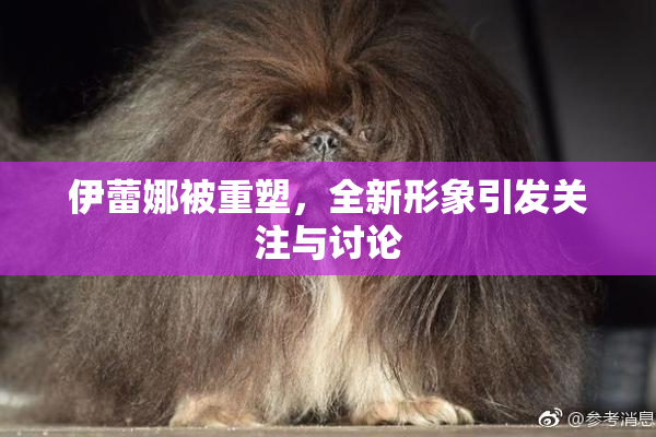 伊蕾娜被重塑，全新形象引发关注与讨论