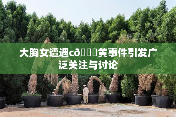 大胸女遭遇c🔞黄事件引发广泛关注与讨论