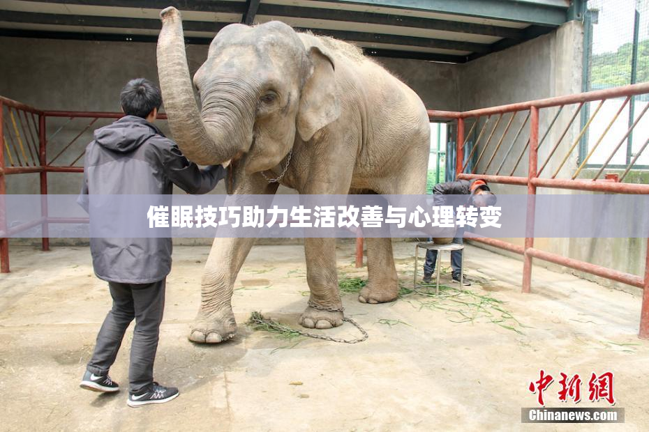 催眠技巧助力生活改善与心理转变