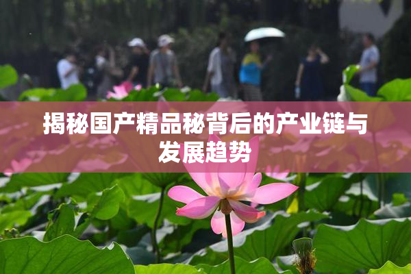揭秘国产精品秘背后的产业链与发展趋势
