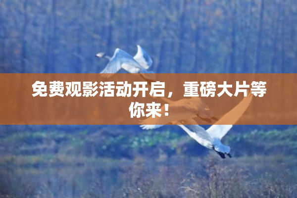 免费观影活动开启，重磅大片等你来！