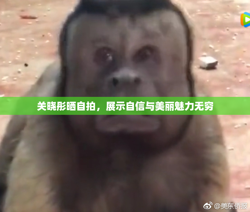关晓彤晒自拍，展示自信与美丽魅力无穷