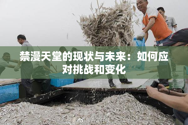禁漫天堂的现状与未来：如何应对挑战和变化