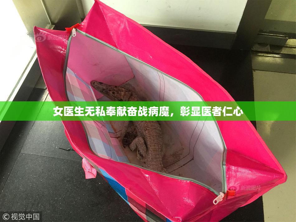 女医生无私奉献奋战病魔，彰显医者仁心