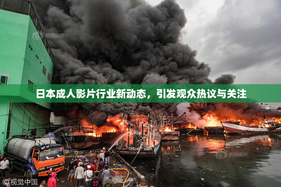 日本成人影片行业新动态，引发观众热议与关注