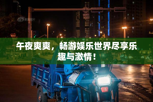 午夜爽爽，畅游娱乐世界尽享乐趣与激情！