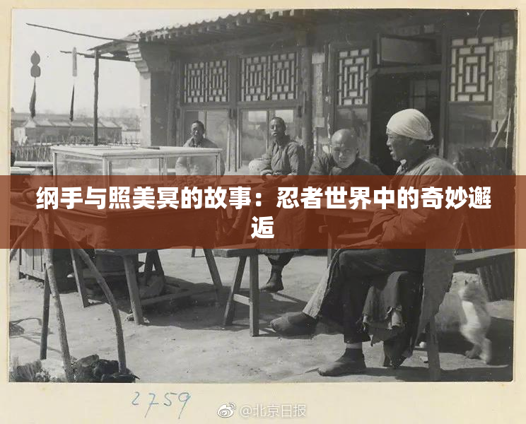 纲手与照美冥的故事：忍者世界中的奇妙邂逅