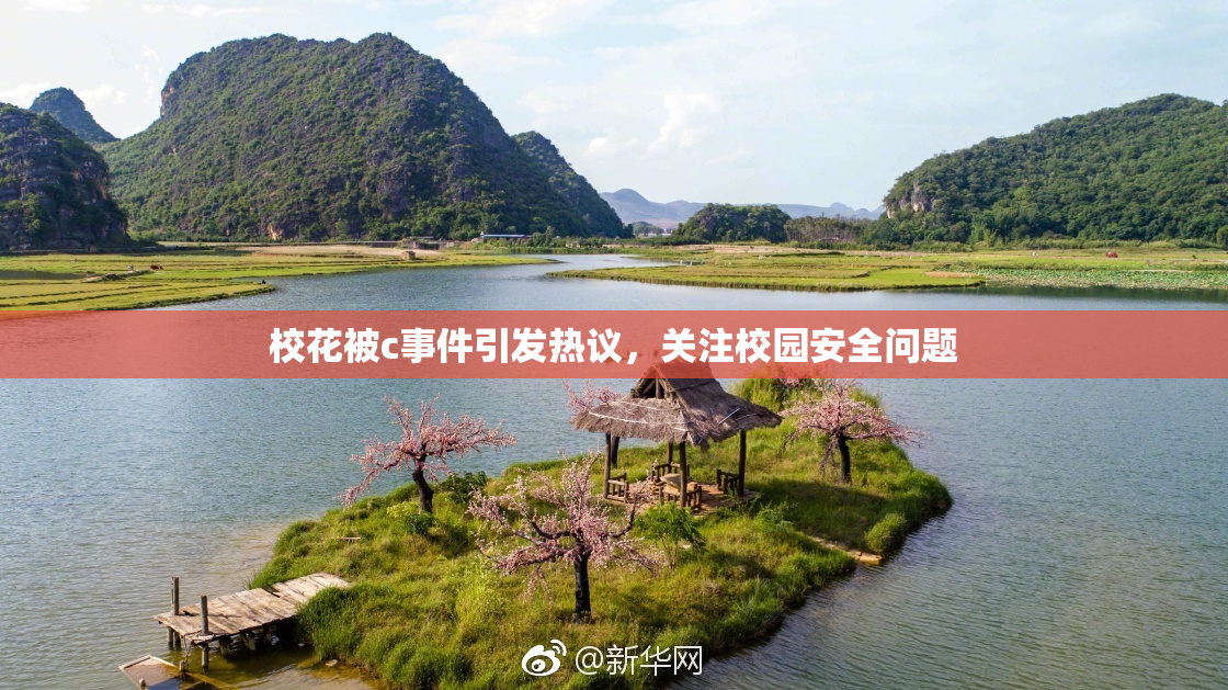 校花被c事件引发热议，关注校园安全问题
