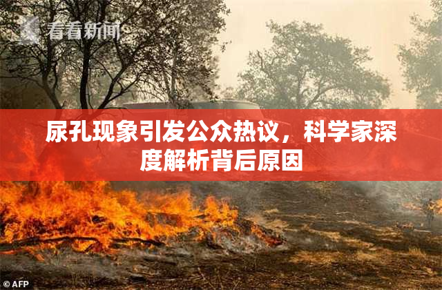 尿孔现象引发公众热议，科学家深度解析背后原因