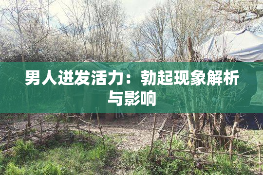 男人迸发活力：勃起现象解析与影响