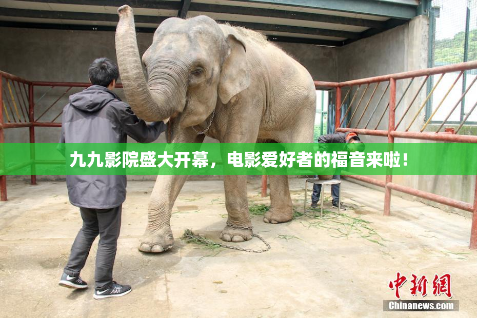 九九影院盛大开幕，电影爱好者的福音来啦！