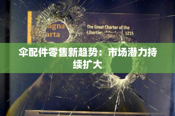 伞配件零售新趋势：市场潜力持续扩大