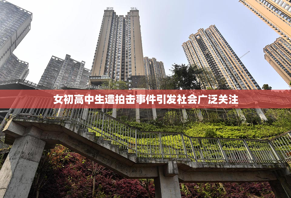 女初高中生遭拍击事件引发社会广泛关注