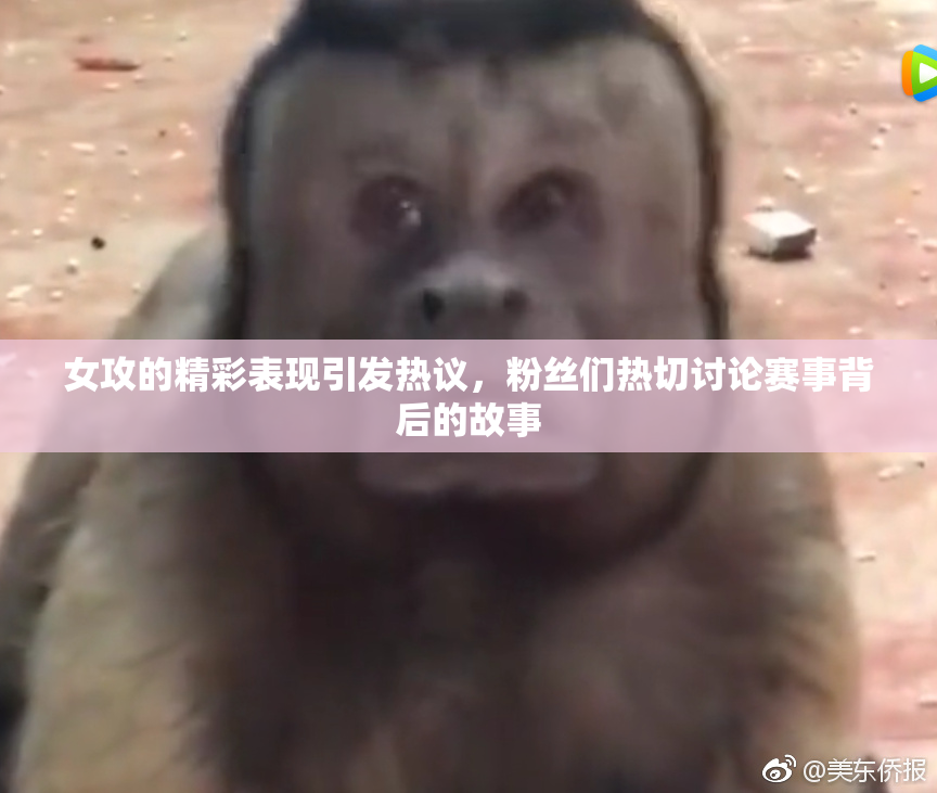女攻的精彩表现引发热议，粉丝们热切讨论赛事背后的故事