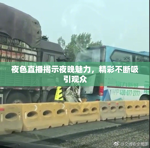 夜色直播揭示夜晚魅力，精彩不断吸引观众