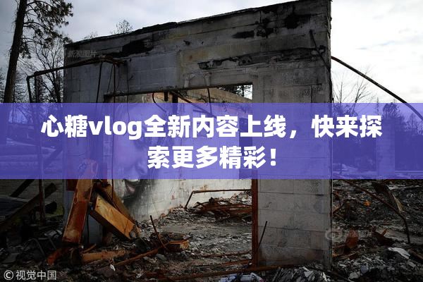 心糖vlog全新内容上线，快来探索更多精彩！