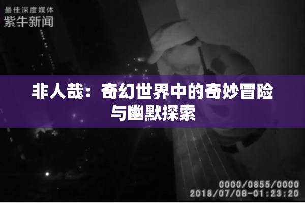 非人哉：奇幻世界中的奇妙冒险与幽默探索