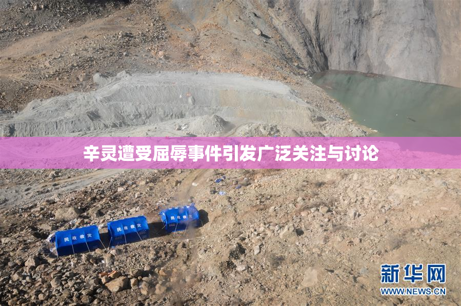 辛灵遭受屈辱事件引发广泛关注与讨论