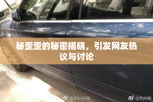 秘歪歪的秘密揭晓，引发网友热议与讨论