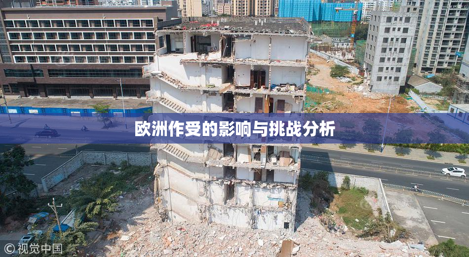 欧洲作受的影响与挑战分析