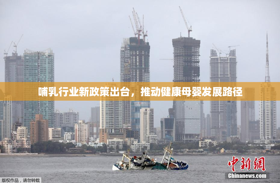 哺乳行业新政策出台，推动健康母婴发展路径