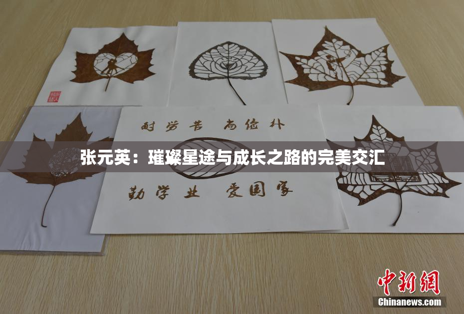 张元英：璀璨星途与成长之路的完美交汇