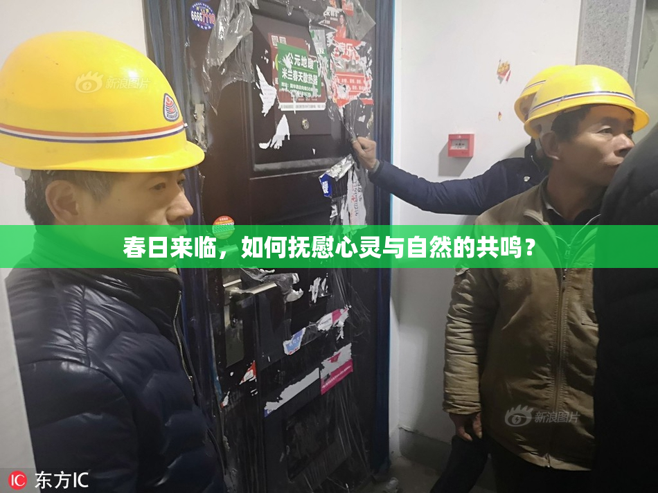 春日来临，如何抚慰心灵与自然的共鸣？