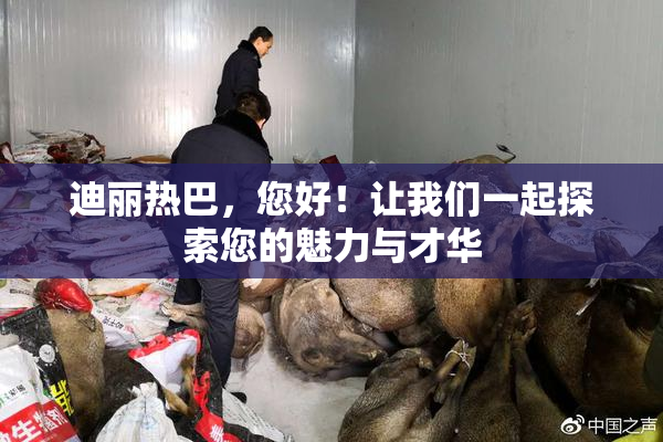 迪丽热巴，您好！让我们一起探索您的魅力与才华
