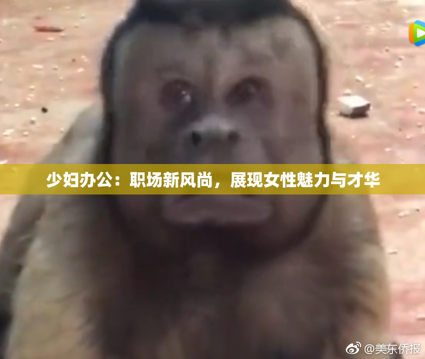 少妇办公：职场新风尚，展现女性魅力与才华