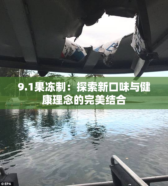 9.1果冻制：探索新口味与健康理念的完美结合