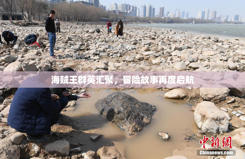 海贼王群英汇聚，冒险故事再度启航