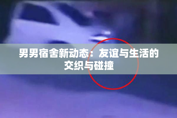 男男宿舍新动态：友谊与生活的交织与碰撞