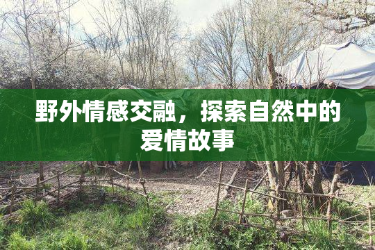 野外情感交融，探索自然中的爱情故事