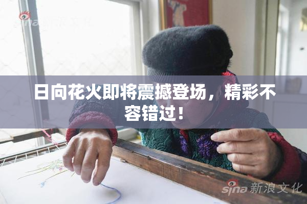 日向花火即将震撼登场，精彩不容错过！