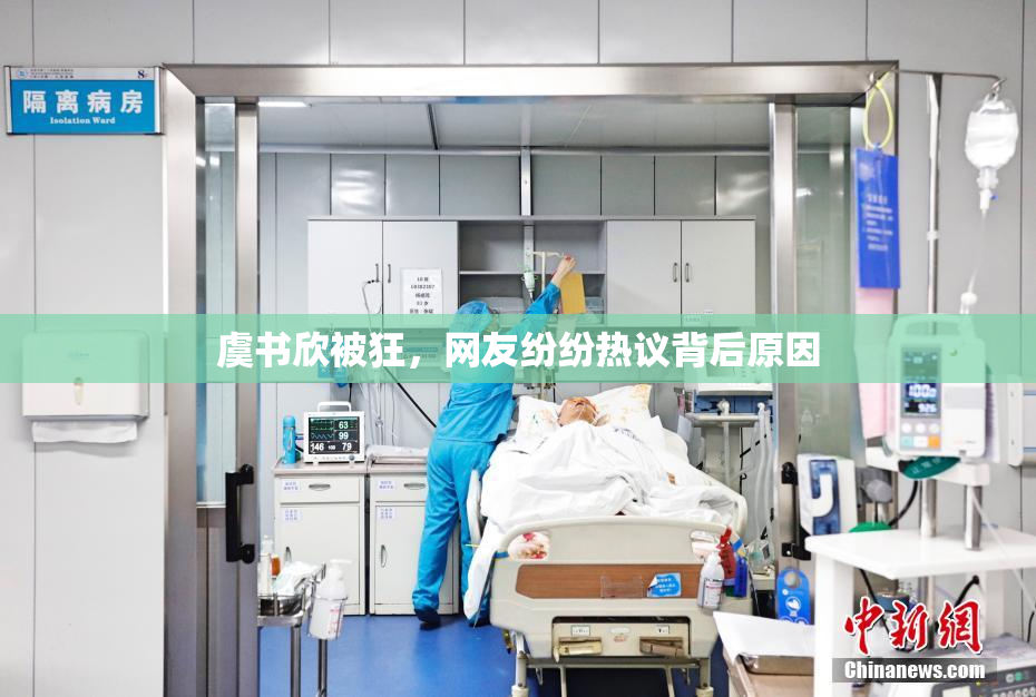 虞书欣被狂，网友纷纷热议背后原因