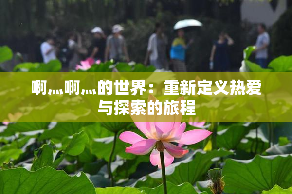 啊灬啊灬的世界：重新定义热爱与探索的旅程