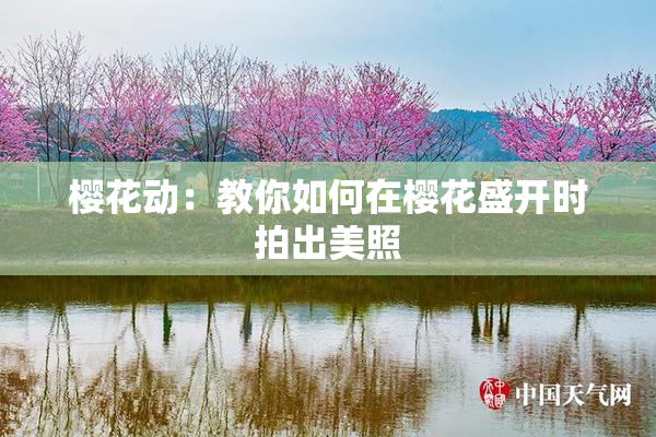 樱花动：教你如何在樱花盛开时拍出美照