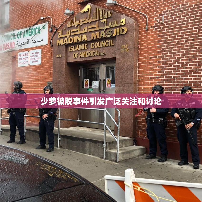 少萝被脱事件引发广泛关注和讨论