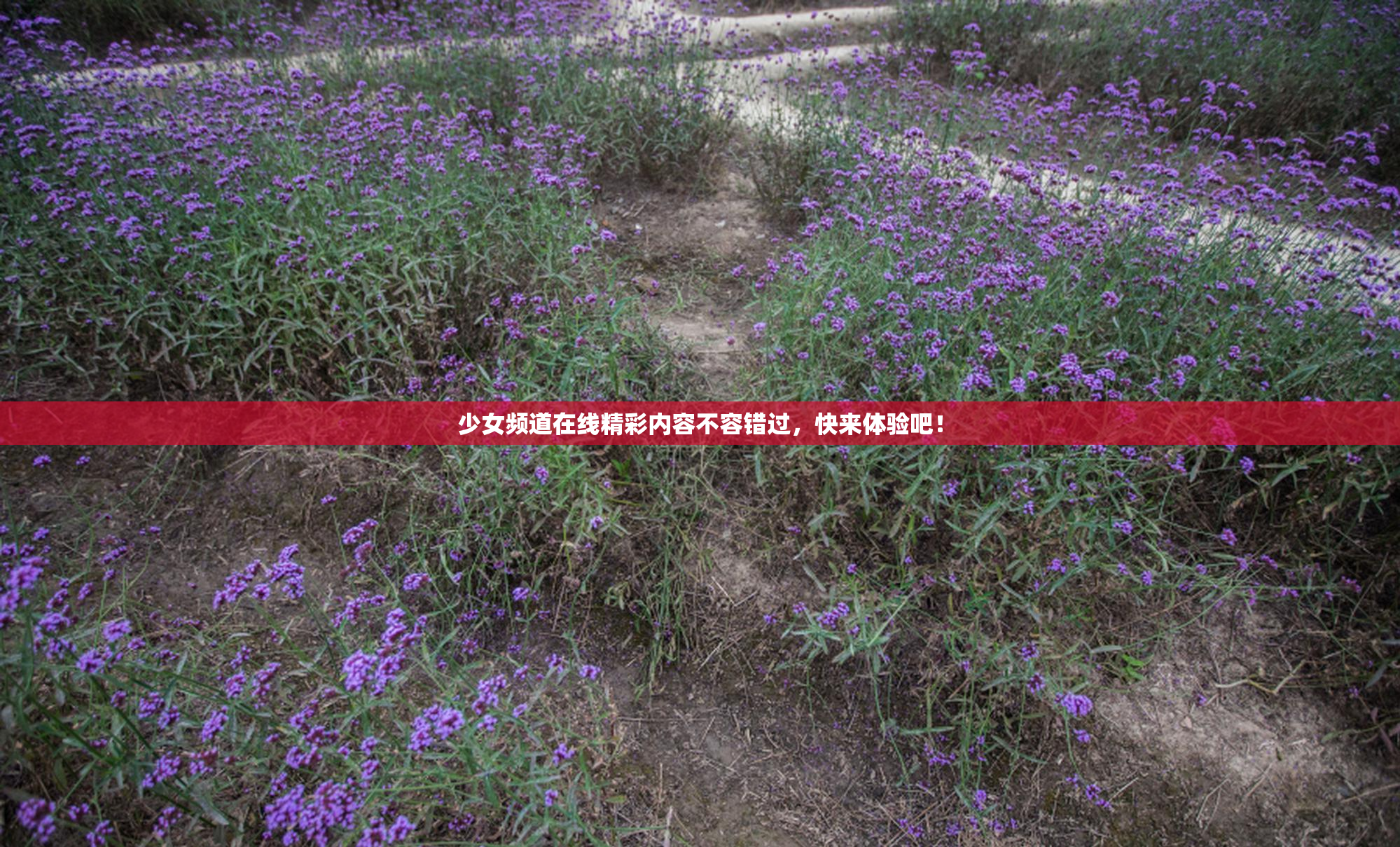 少女频道在线精彩内容不容错过，快来体验吧！