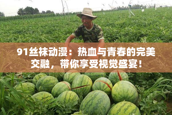91丝袜动漫：热血与青春的完美交融，带你享受视觉盛宴！
