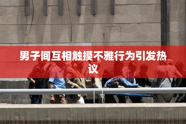 男子间互相触摸不雅行为引发热议