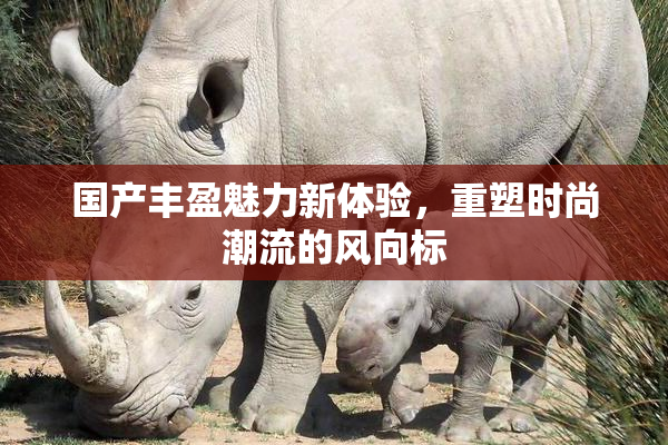 国产丰盈魅力新体验，重塑时尚潮流的风向标