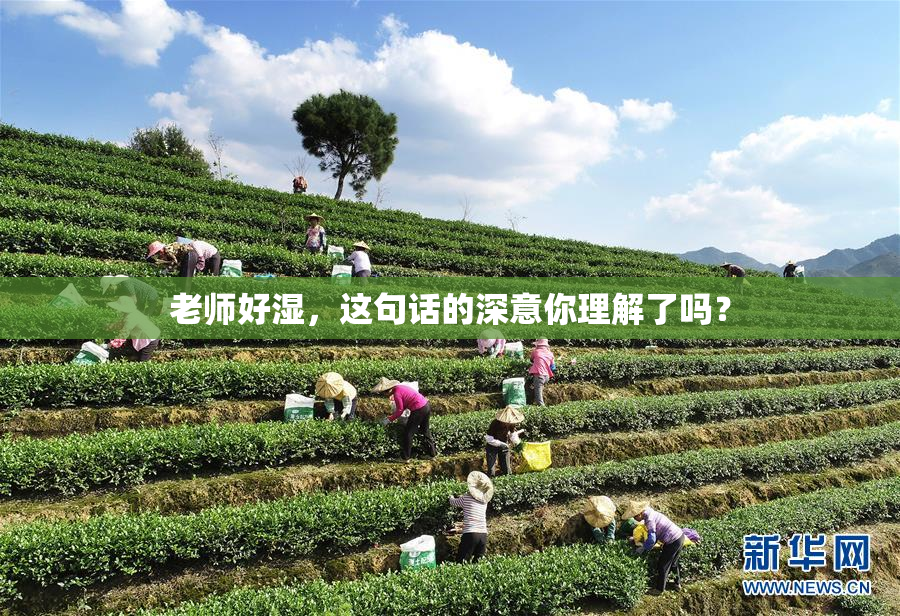 老师好湿，这句话的深意你理解了吗？
