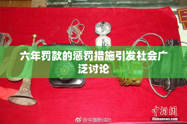 六年罚款的惩罚措施引发社会广泛讨论