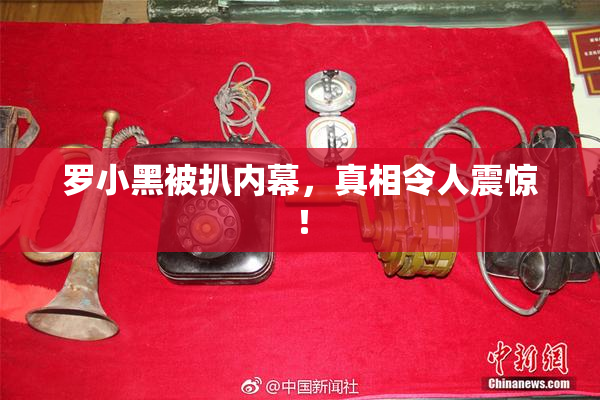 罗小黑被扒内幕，真相令人震惊！