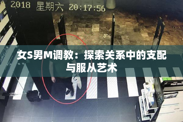 女S男M调教：探索关系中的支配与服从艺术